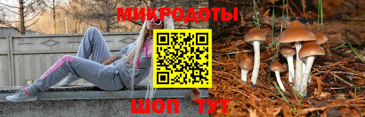 Мефедрон Сегежа