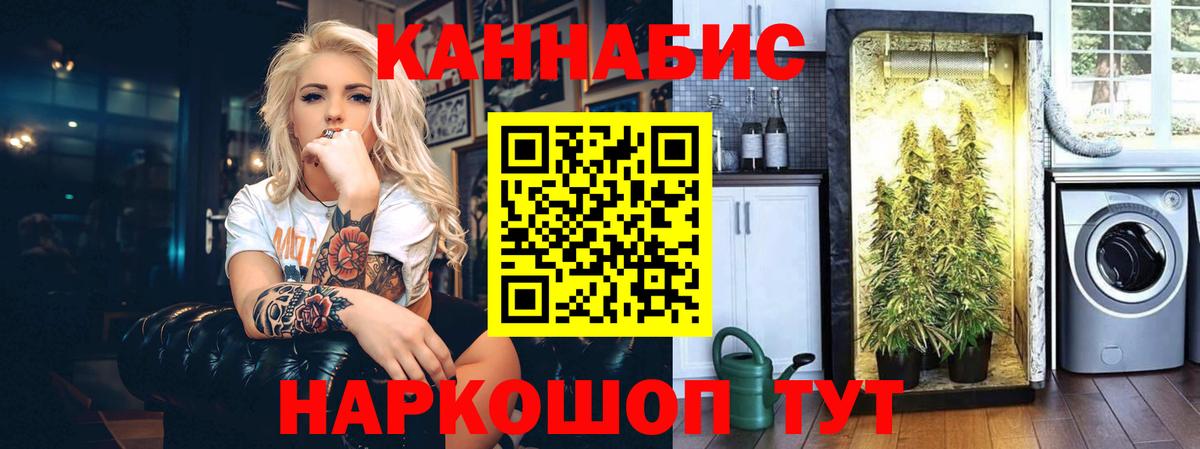 Каннабис план Сегежа
